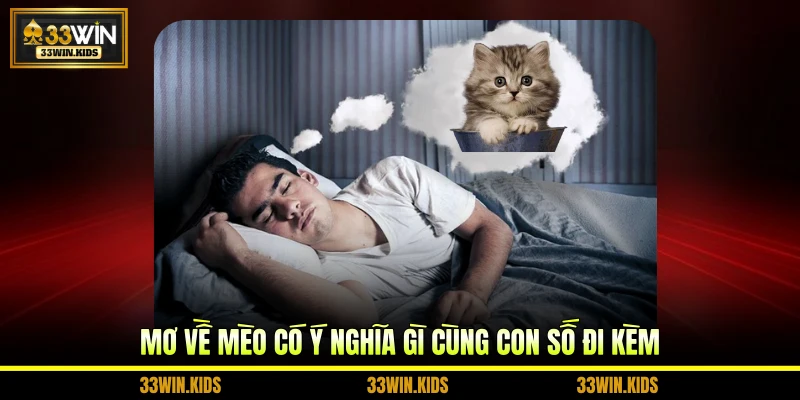Mơ về mèo có ý nghĩa gì cùng con số đi kèm